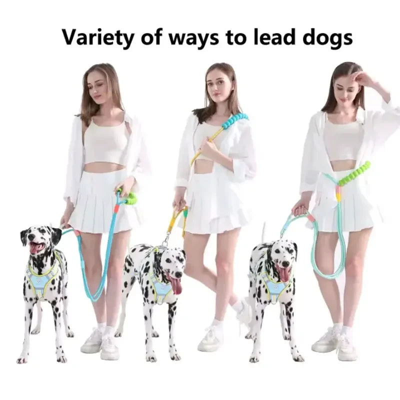Hands-Free Multi-Functional Nylon Dog Leash