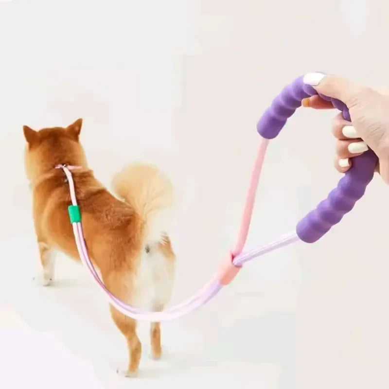 Hands-Free Multi-Functional Nylon Dog Leash