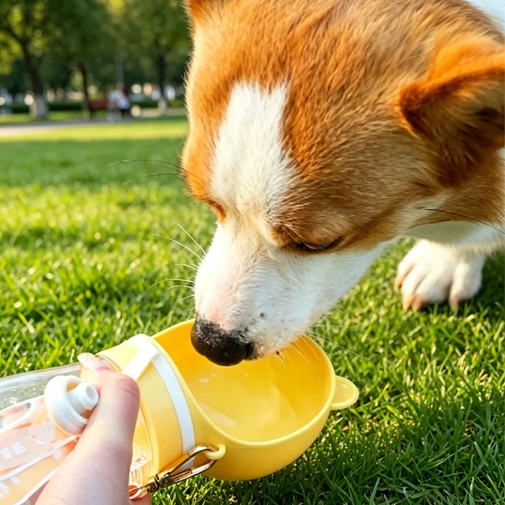 Portable Pet Water Bottle and Feeder