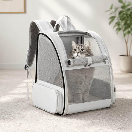 Breathable Mesh Pet Backpack with Three Entrances Foldable for Small Dogs and Cats
